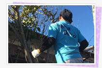 足利市|除草作業・草刈りイメージ画像